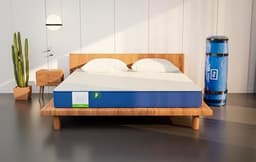 Image of Flo Ortho™ Aloe Vera Infused Orthopedic Mattress with PainRelease™ Technology | Medium Firm Feel | 6 Inch Mattress in Single Size (75x42x6 Inches) | 10 Year Warranty
