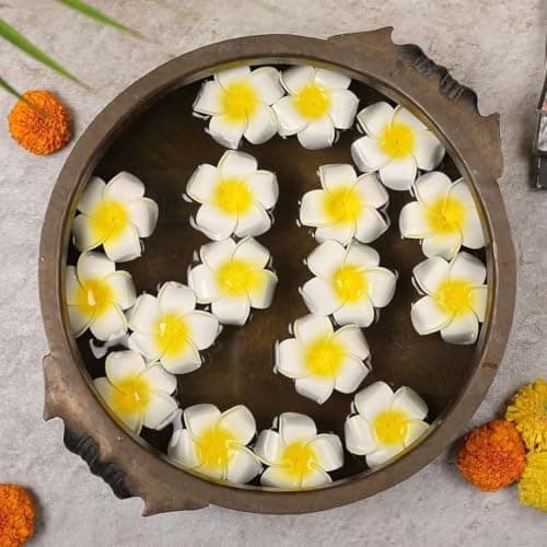 12pcs Hawaii Beach Plumeria Flowers - Home & Kitchen - Review & Buying Guide