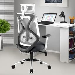 Image of ASTRIDE Ergofit Ergonomic Office Chair for Home | 3-Years Warranty | 2D Headrest, Adjustable Arms & Lumbar Support | Tilt Lock Mechanism [Heavy Duty Chromium Metal Base, Grey-White]