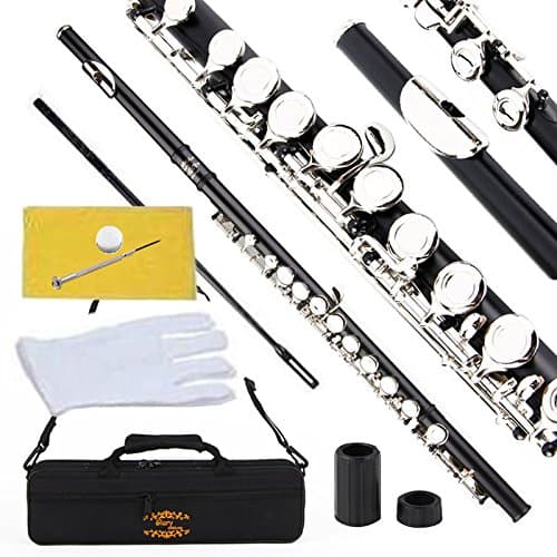 Glory Closed Hole C Flute - Musical Instruments - Review & Buying Guide